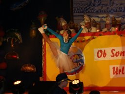 IMG_8801