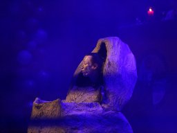 IMG_0574