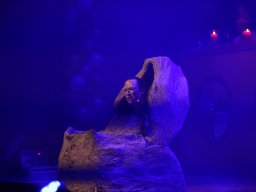 IMG_0575