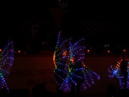 IMG_1552